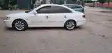 Hyundai Grandeur, 2006-3