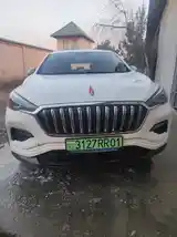 Hongqi E-HS3, 2019-6