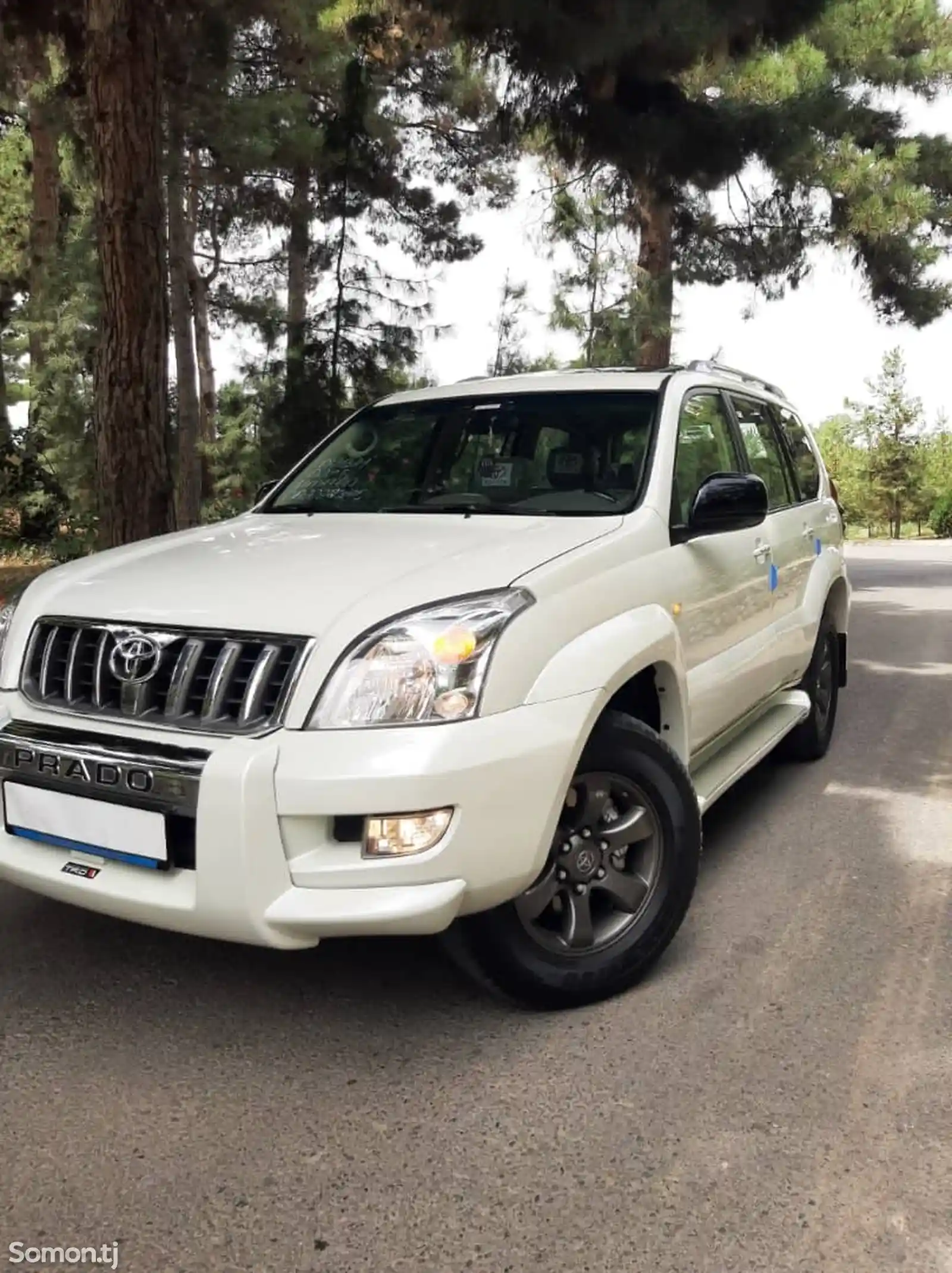 Toyota Land Cruiser Prado, 2009-1