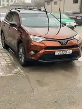 Toyota RAV 4, 2018-11