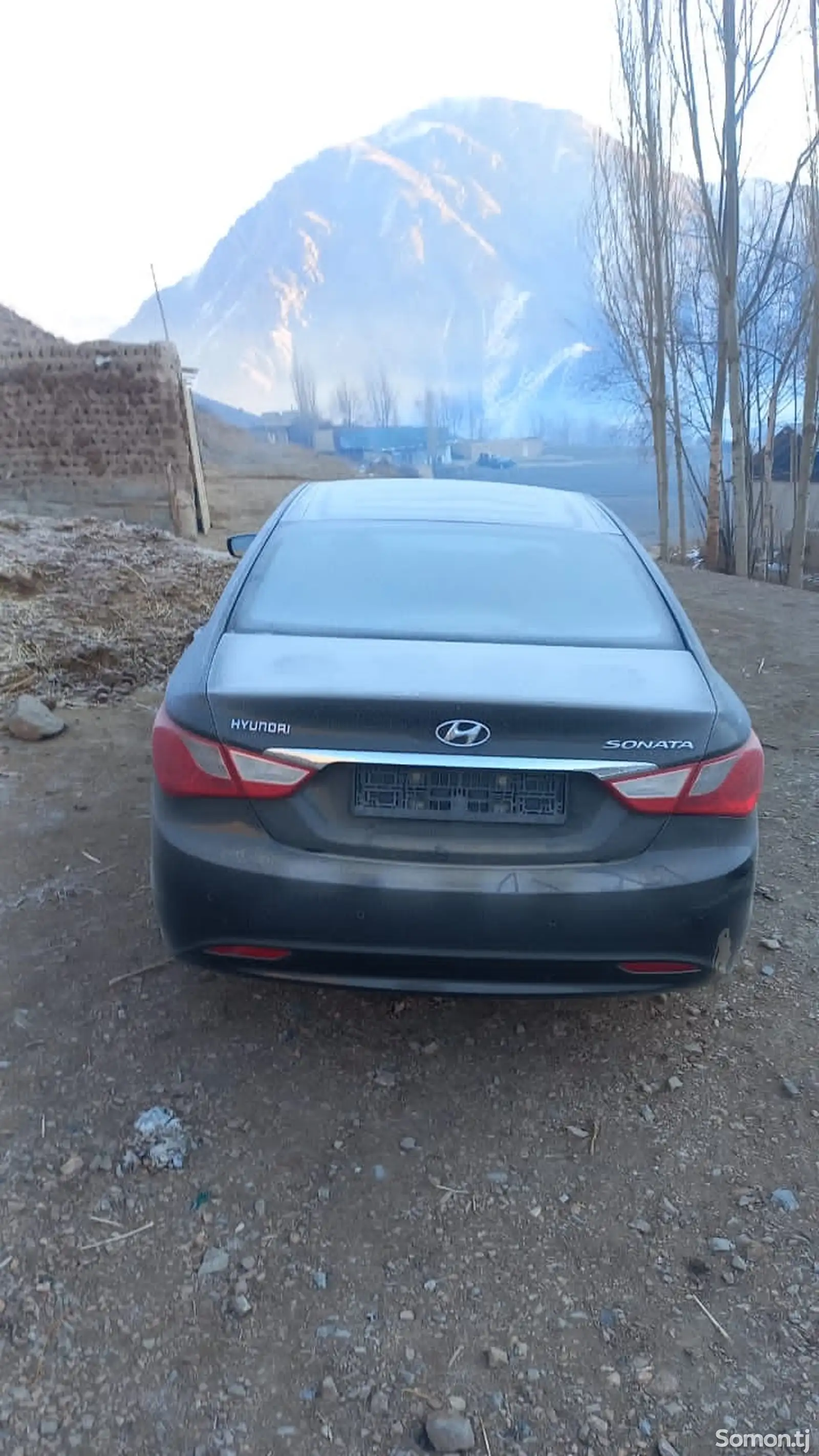 Hyundai Sonata, 2010-1