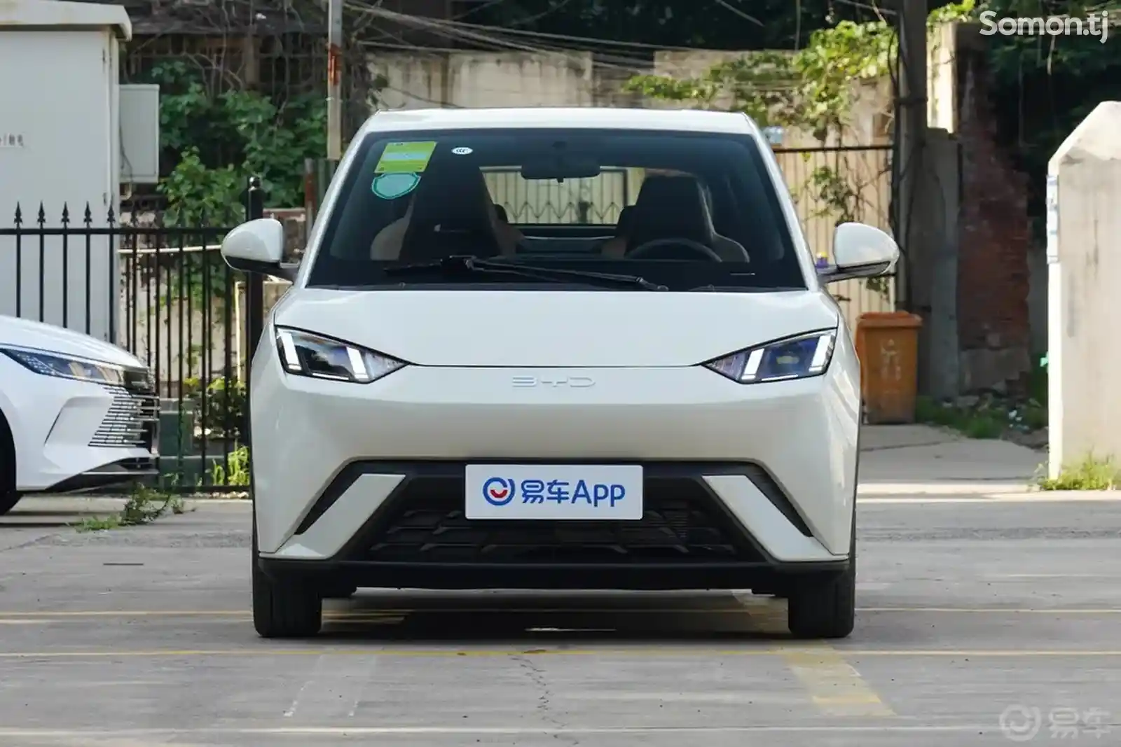 BYD Dolphin, 2024-2