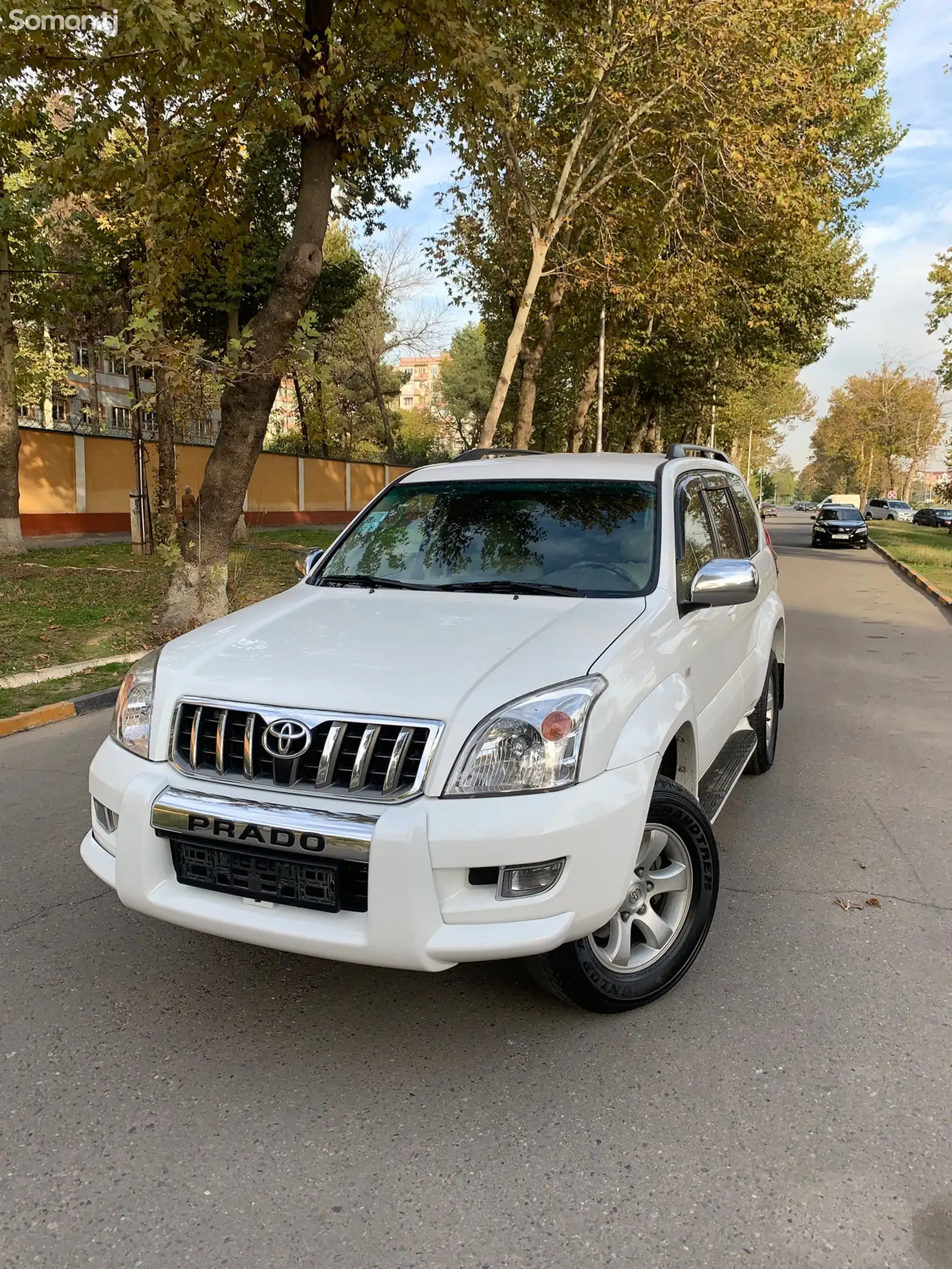 Toyota Land Cruiser Prado, 2007-1