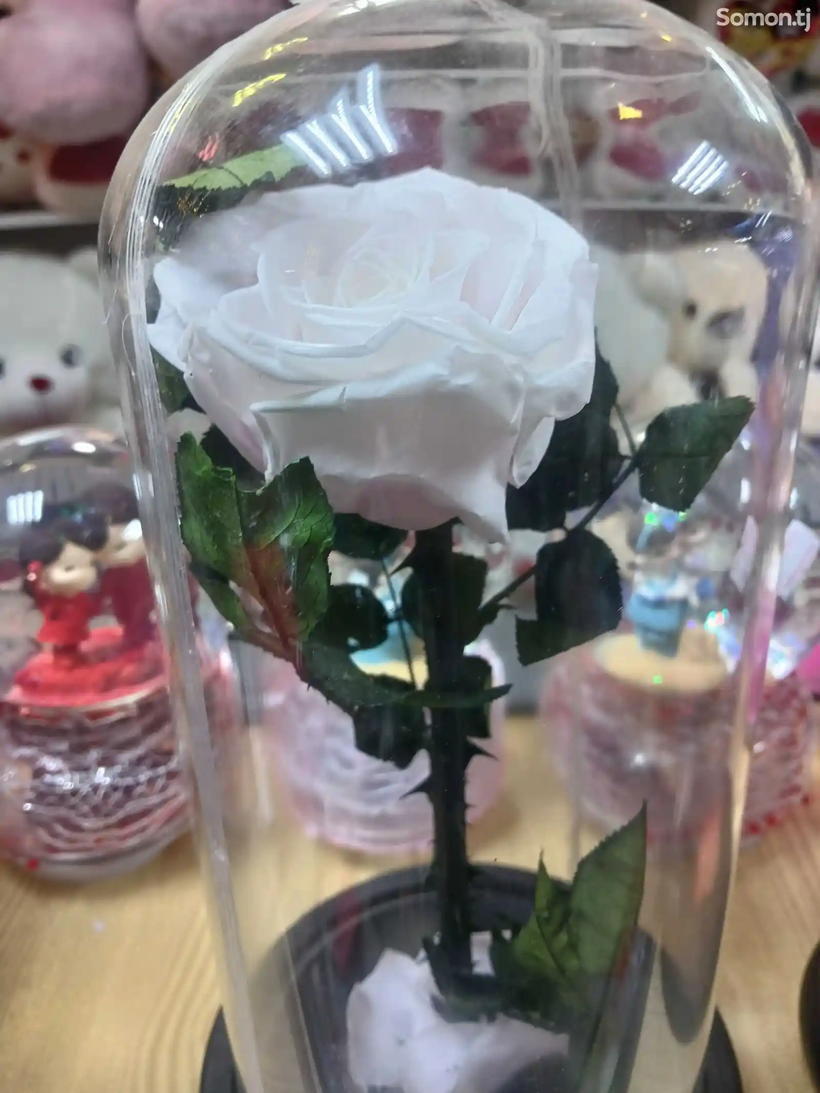 Японская белая роза