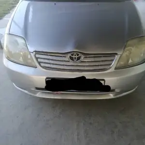 Toyota Corolla, 2001