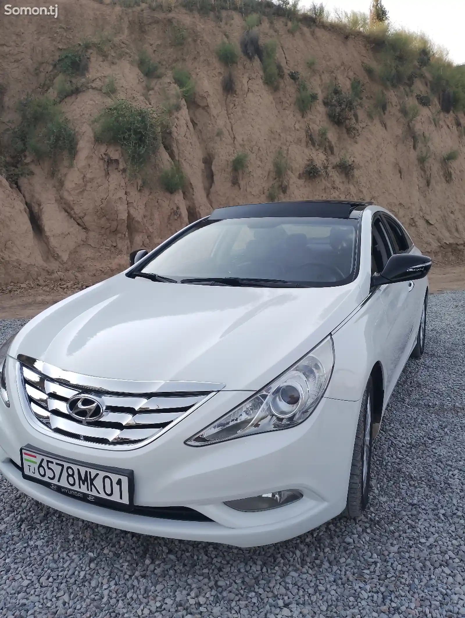 Hyundai Sonata, 2010-3