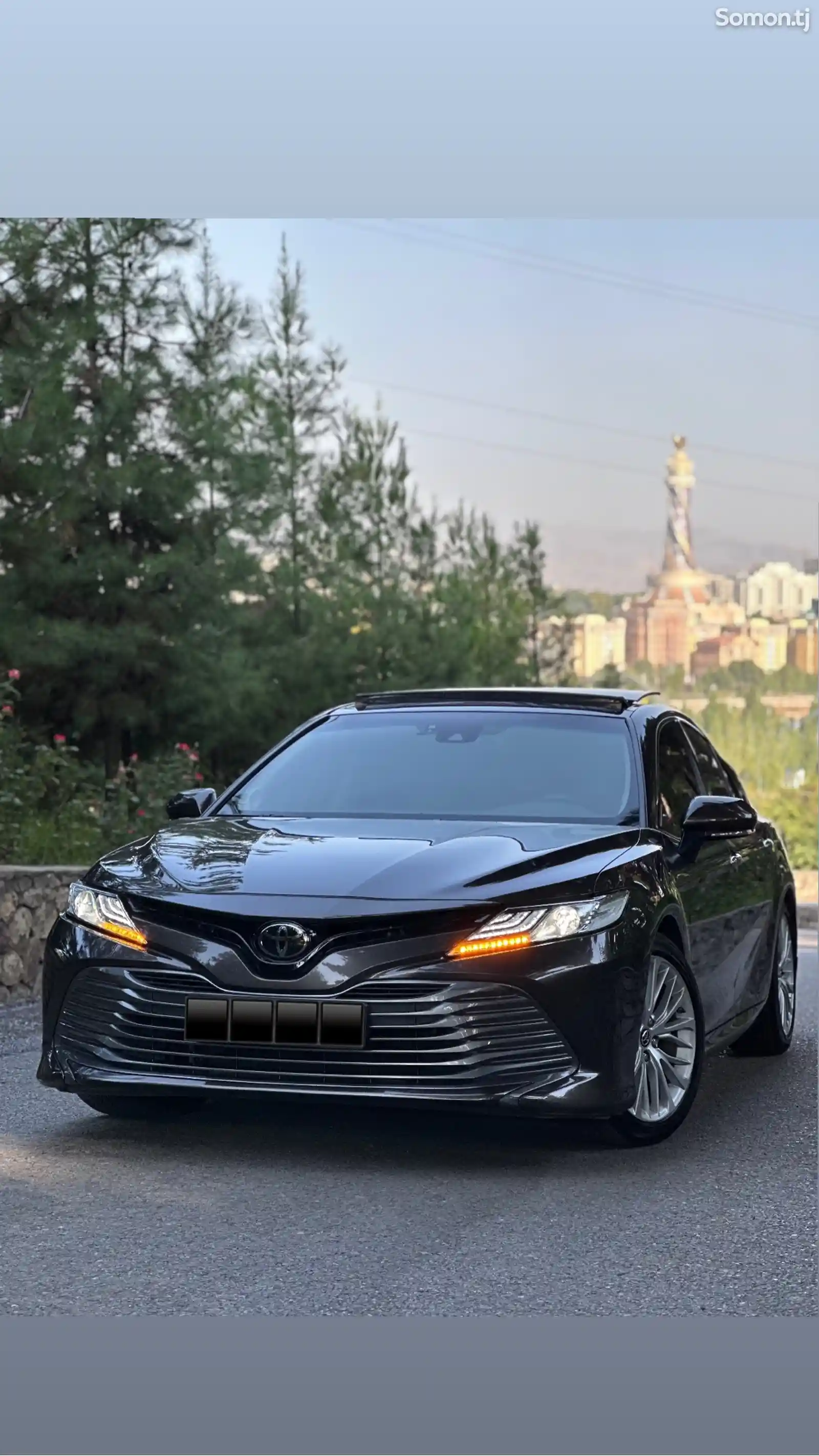 Toyota Camry, 2019-1