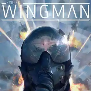 Игра Project wingman для компьютера-пк-pc