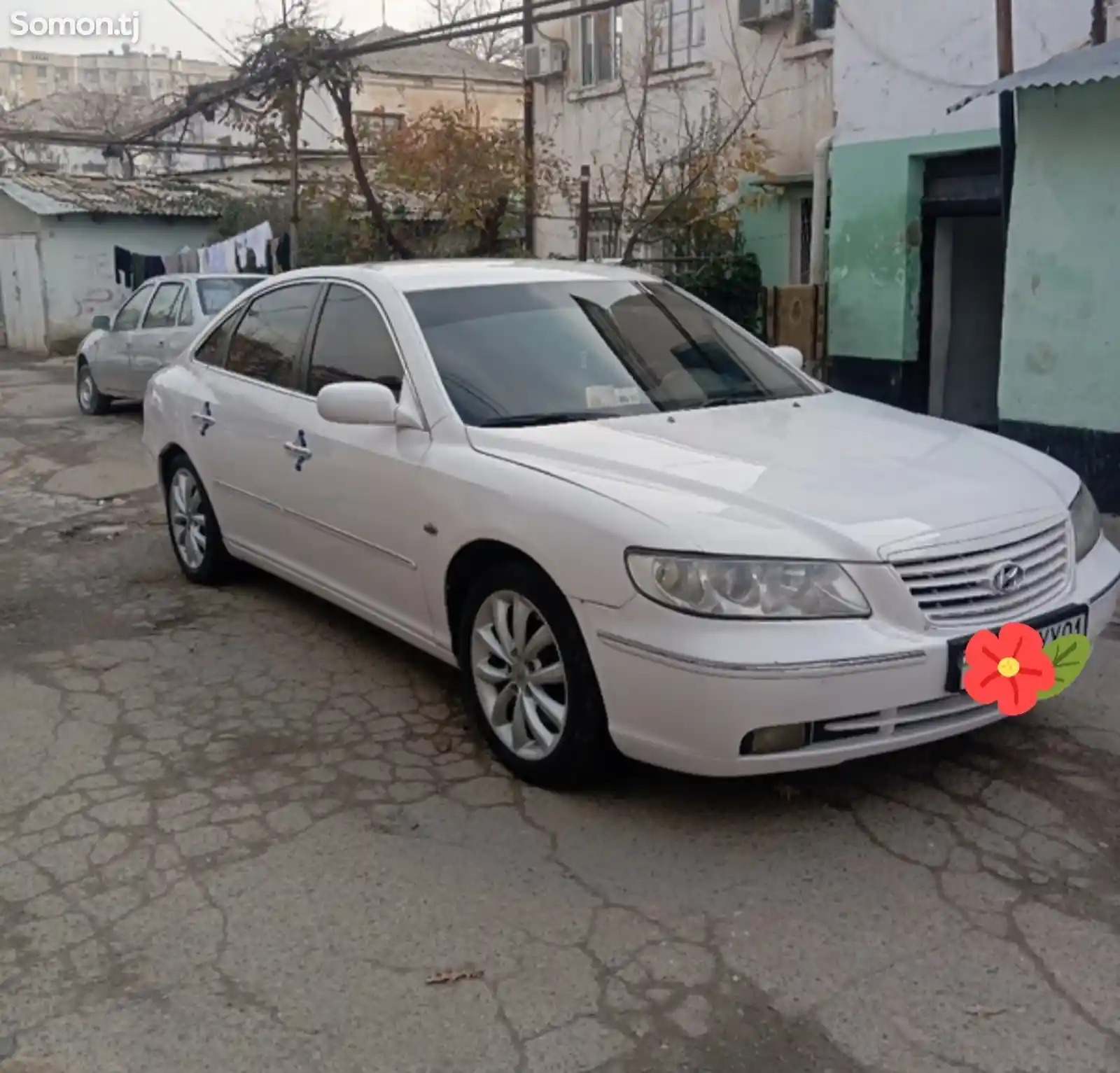 Hyundai Grandeur, 2006-9