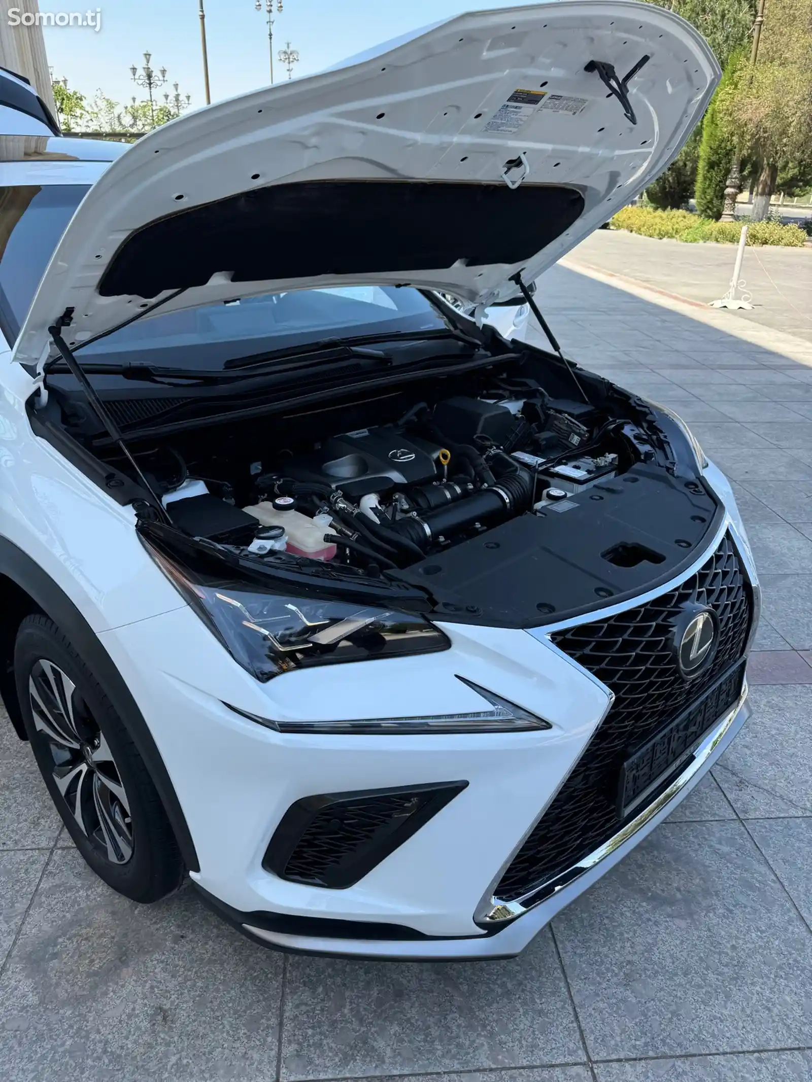 Lexus NX series, 2019-16