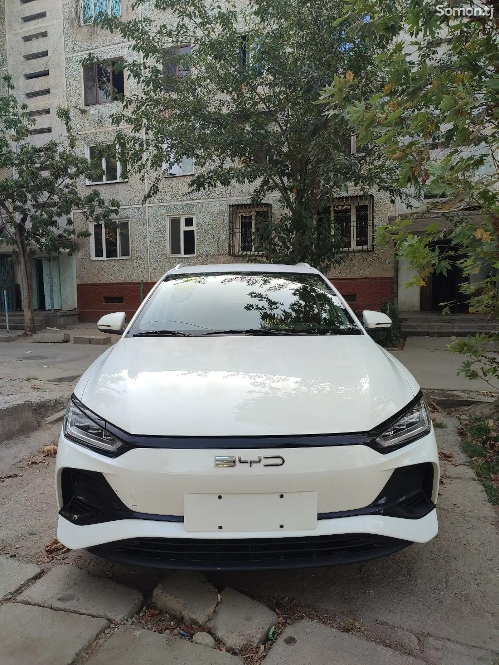 BYD E2, 2024-2