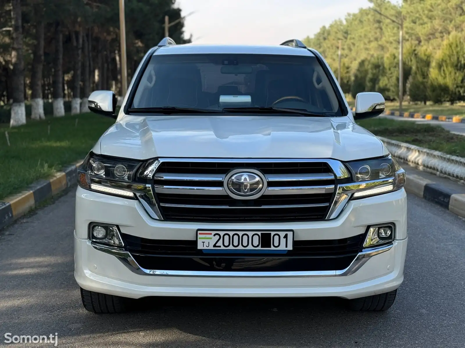 Toyota Land Cruiser, 2013-1