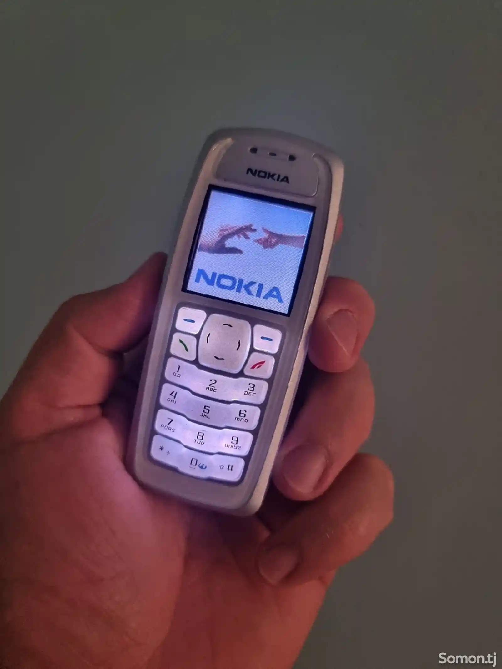 Nokia 3100-1