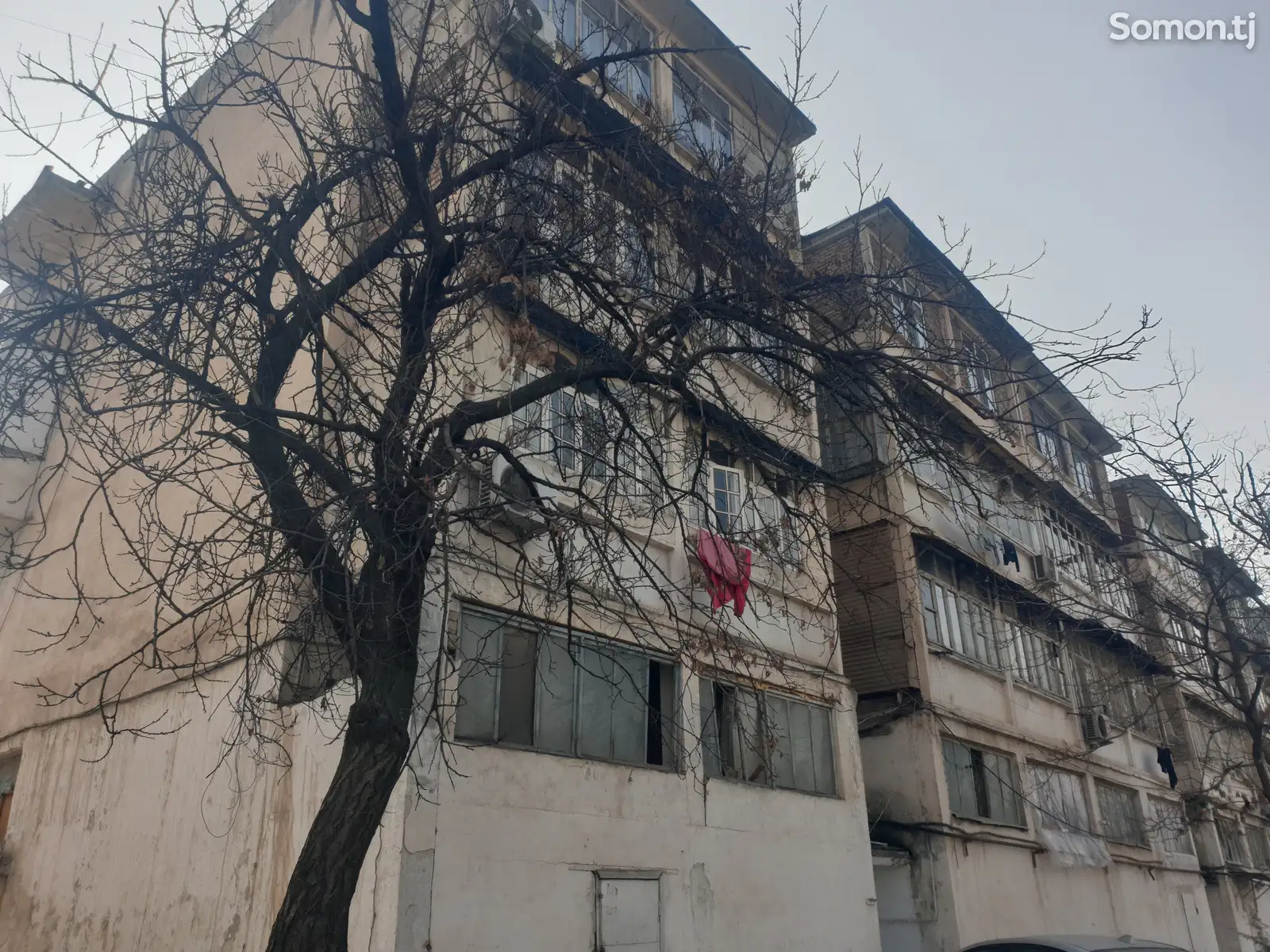 2-комн. квартира, 2 этаж, 64 м², Сино-1