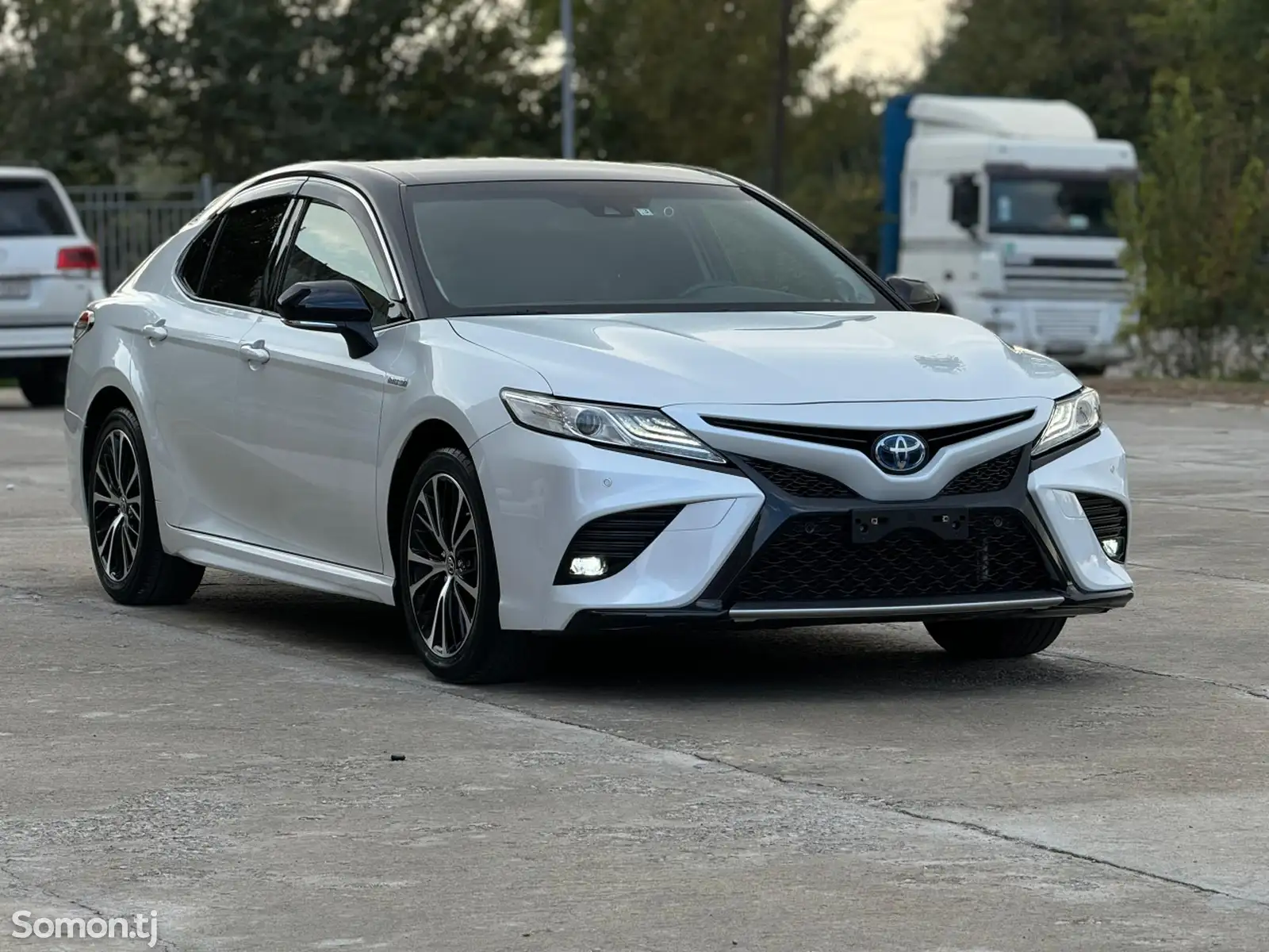 Toyota Camry, 2019-1