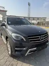 Mercedes-Benz ML class, 2014-3