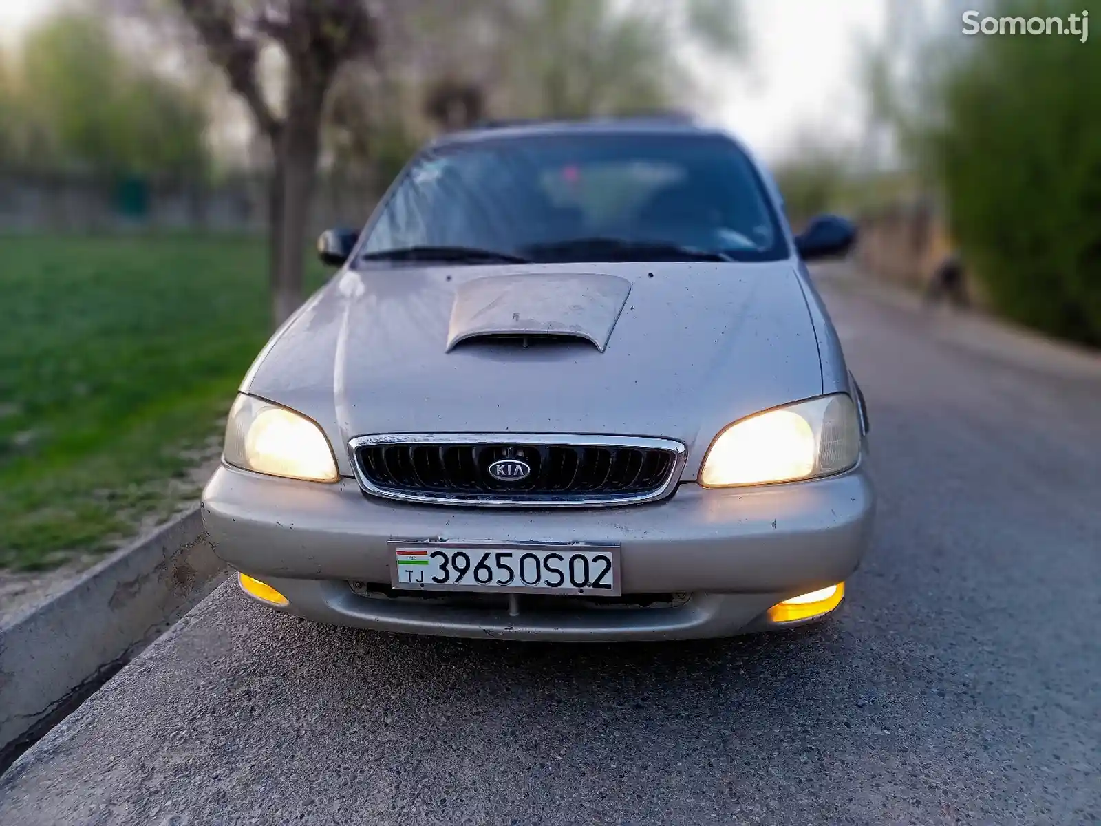 Kia Carnival, 2000-1