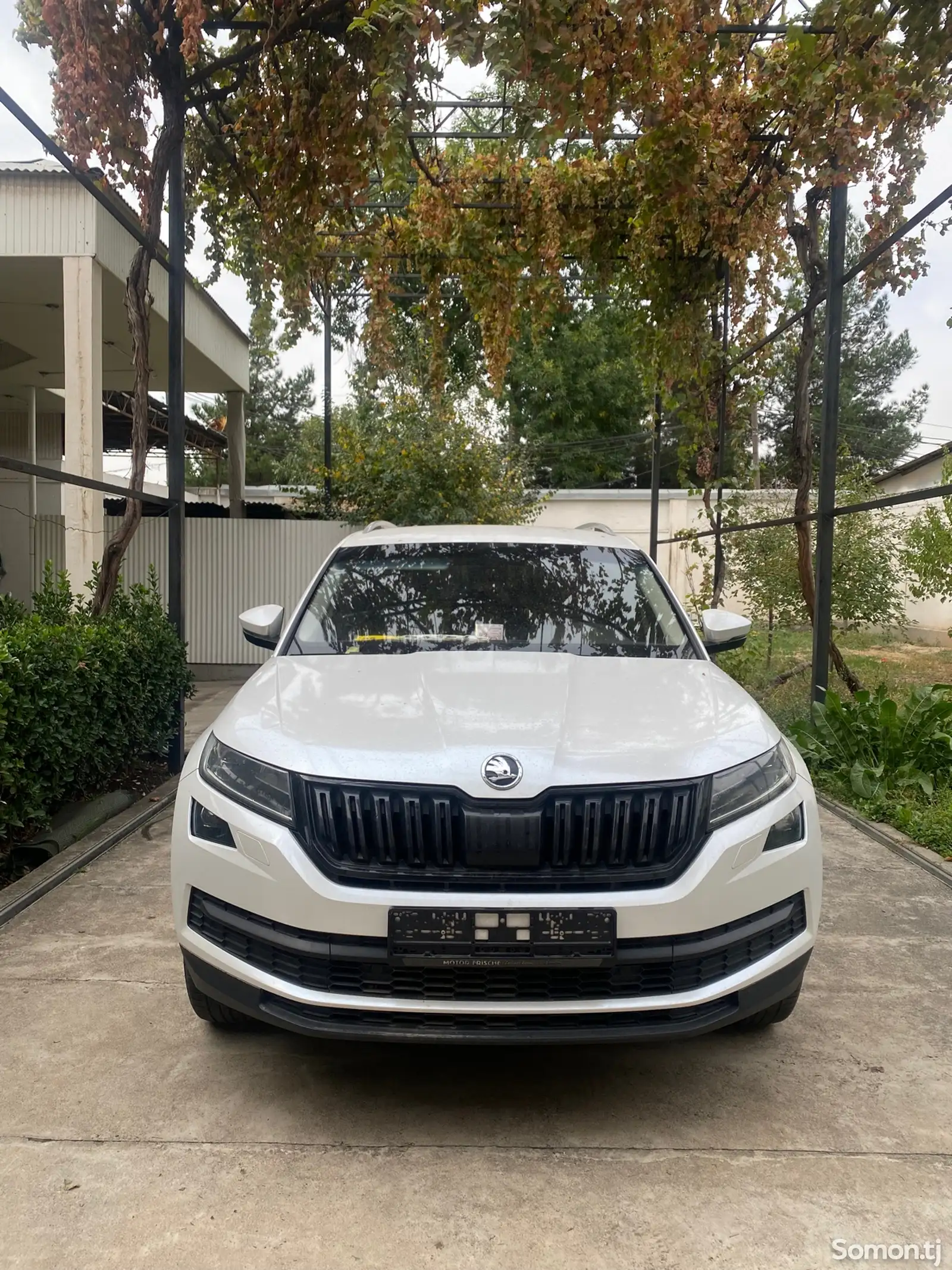 Skoda Kodiaq, 2020-1