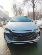 BYD Tang, 2024-3