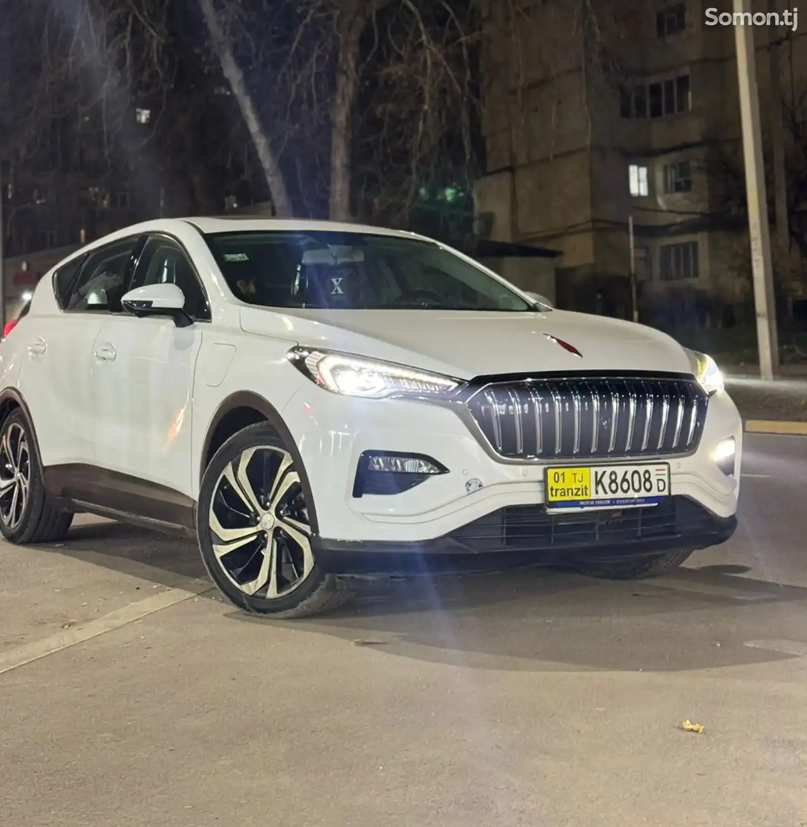 Hongqi E-HS3, 2019-1