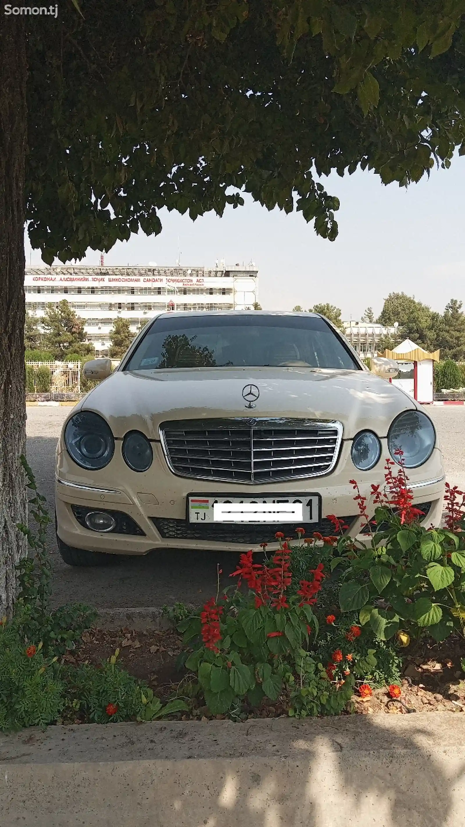 Mercedes-Benz E class, 2008-1