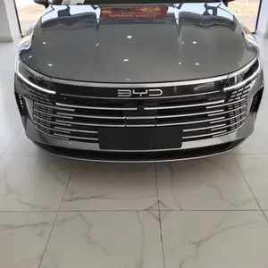 BYD Chazor, 2024