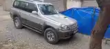 Hyundai Terracan, 2001-5