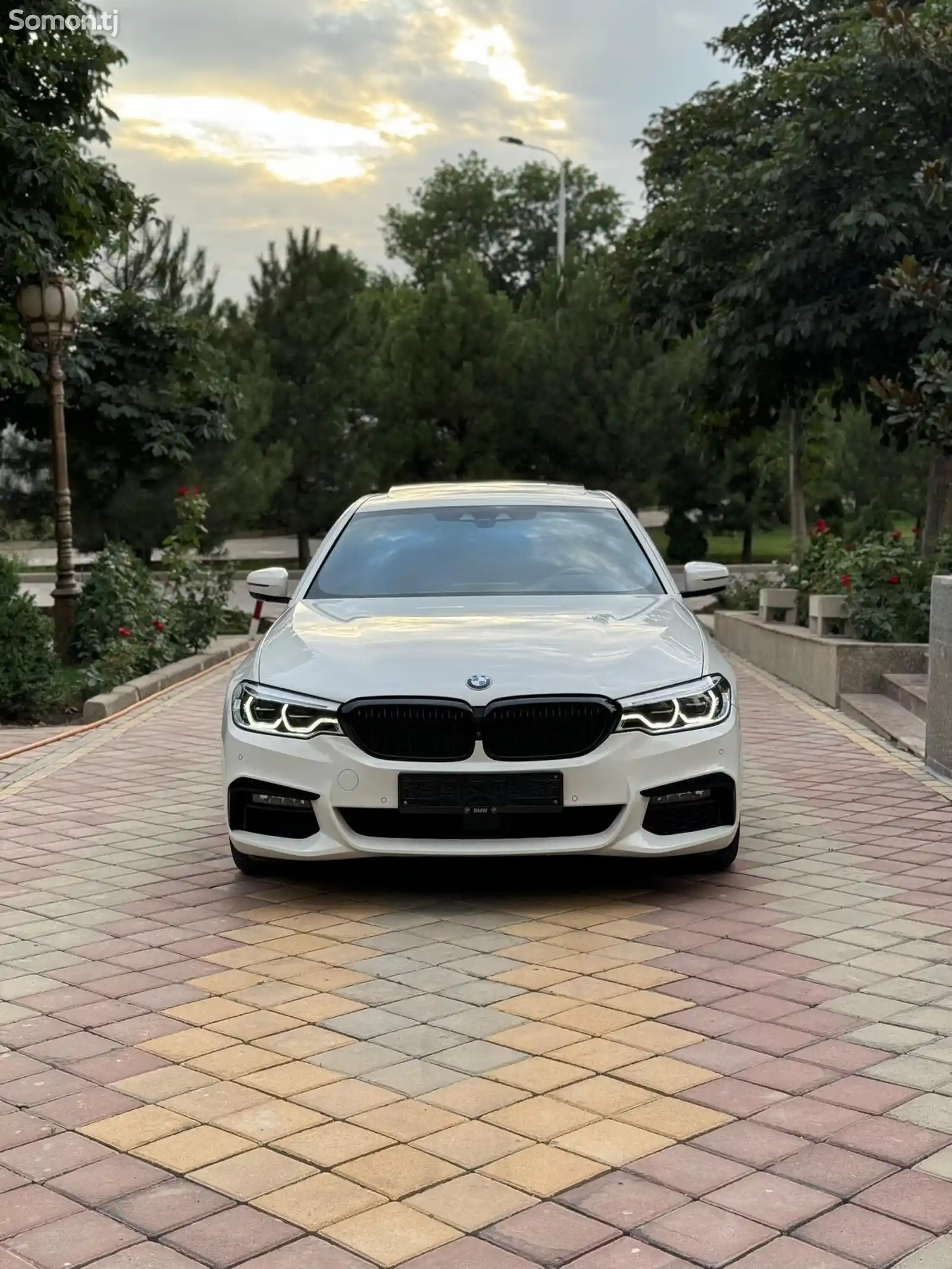 BMW 5 series, 2019-1