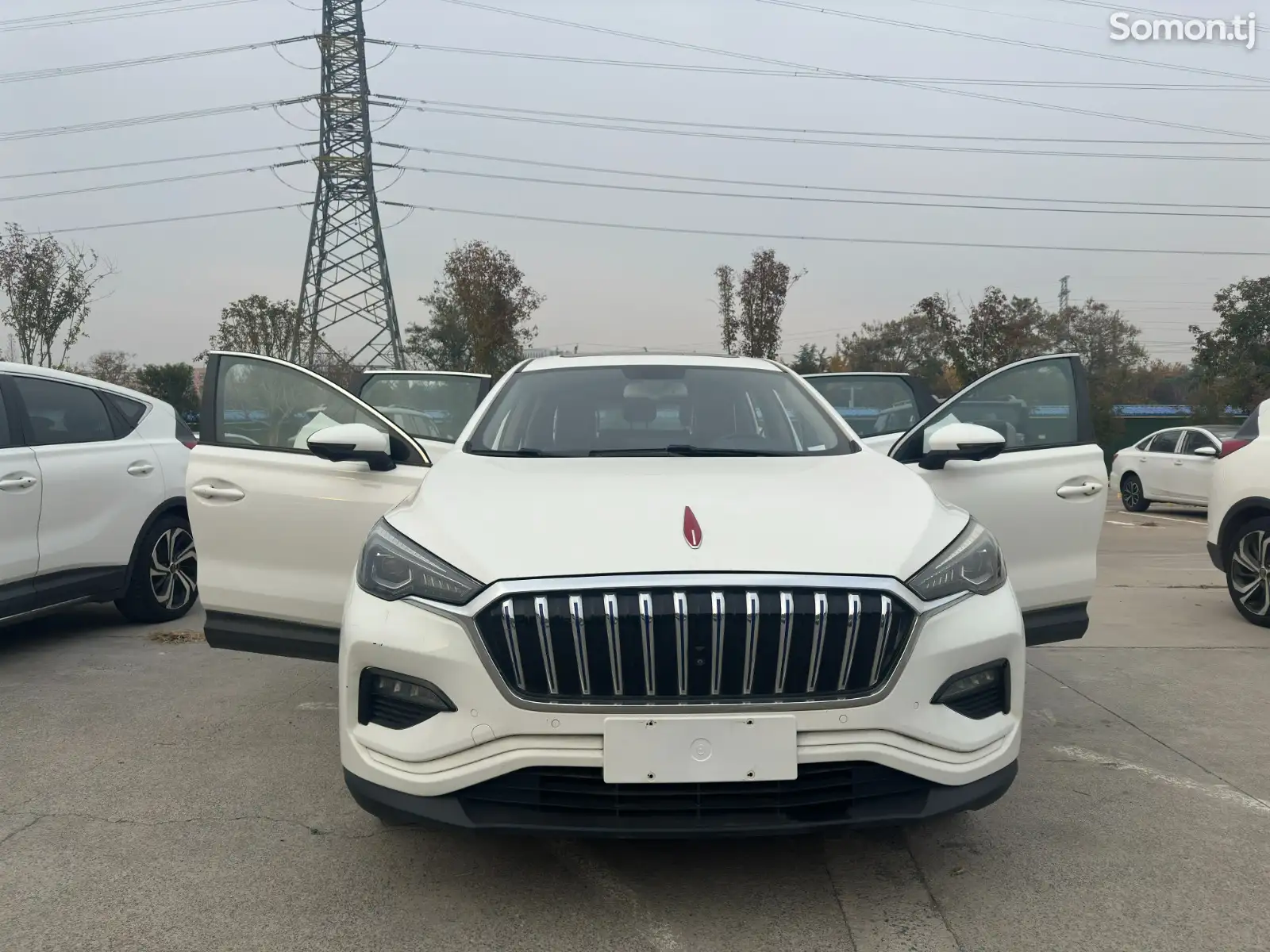 Hongqi E-HS3, 2020-1