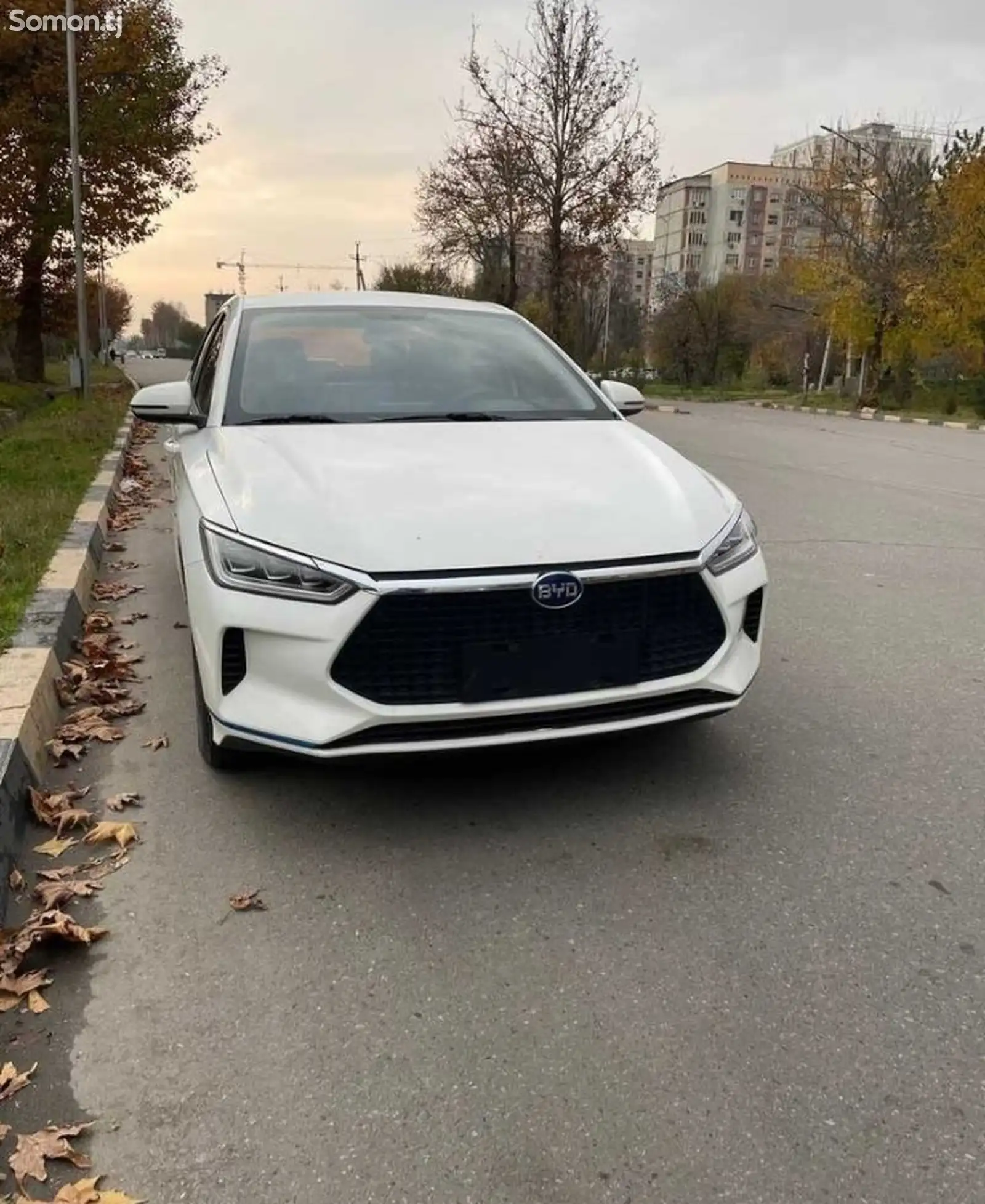 BYD E2, 2019-1