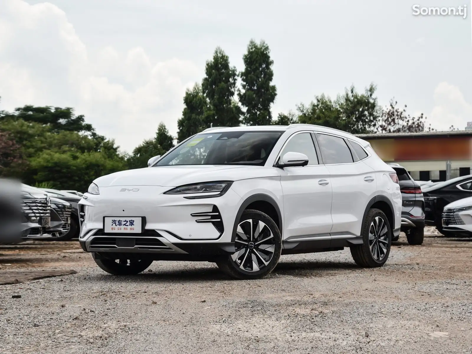 BYD Song Plus Flagship, 2024-1