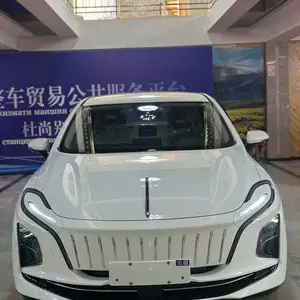 Hongqi E-QM5, 2024