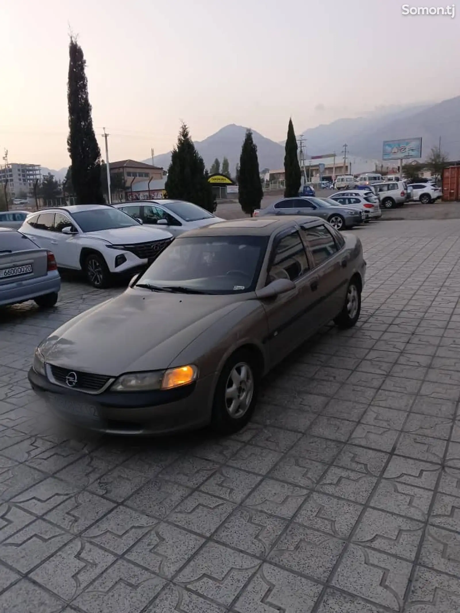 Opel Vectra B, 1996-1