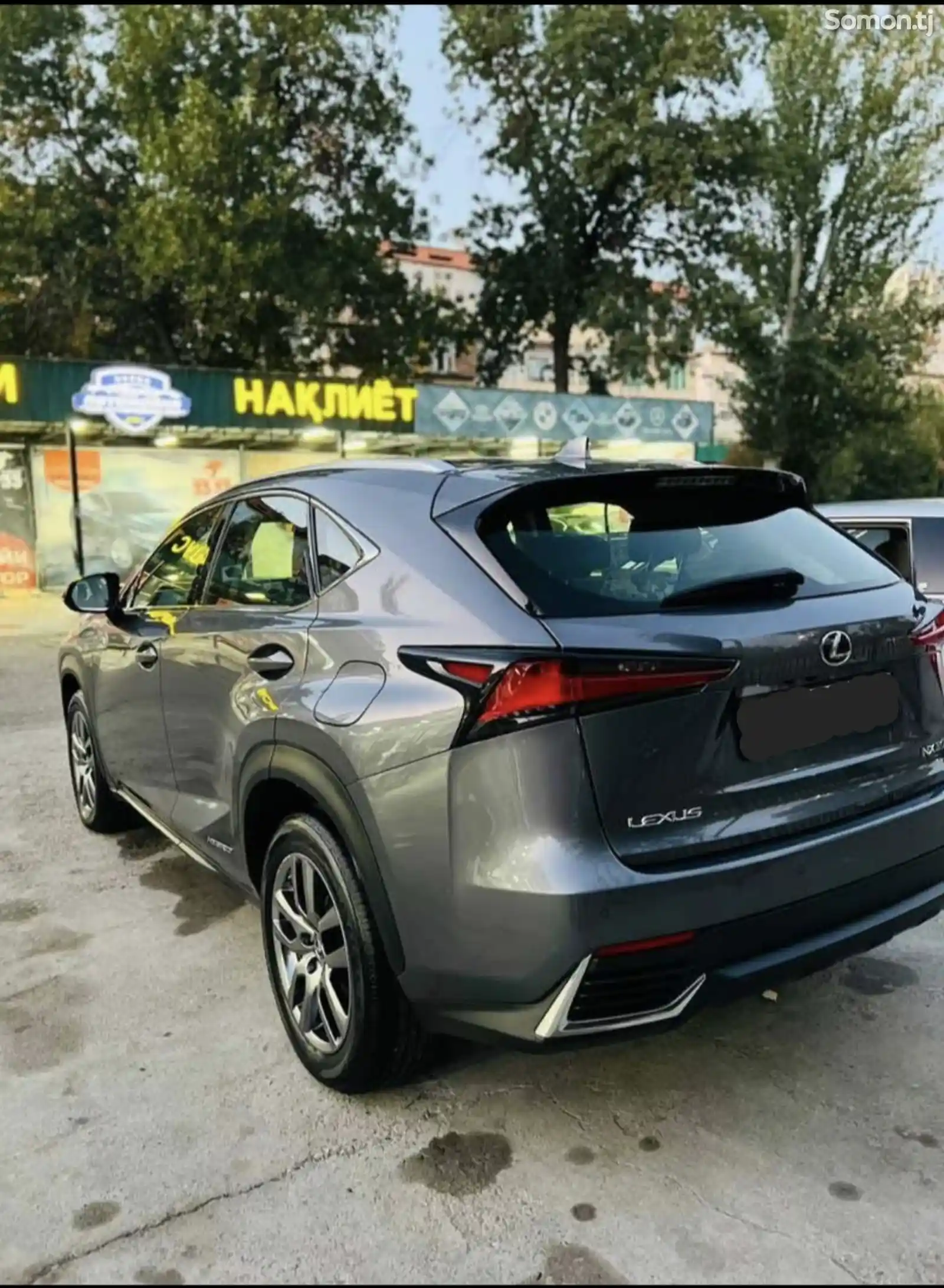 Lexus NX series, 2022-3