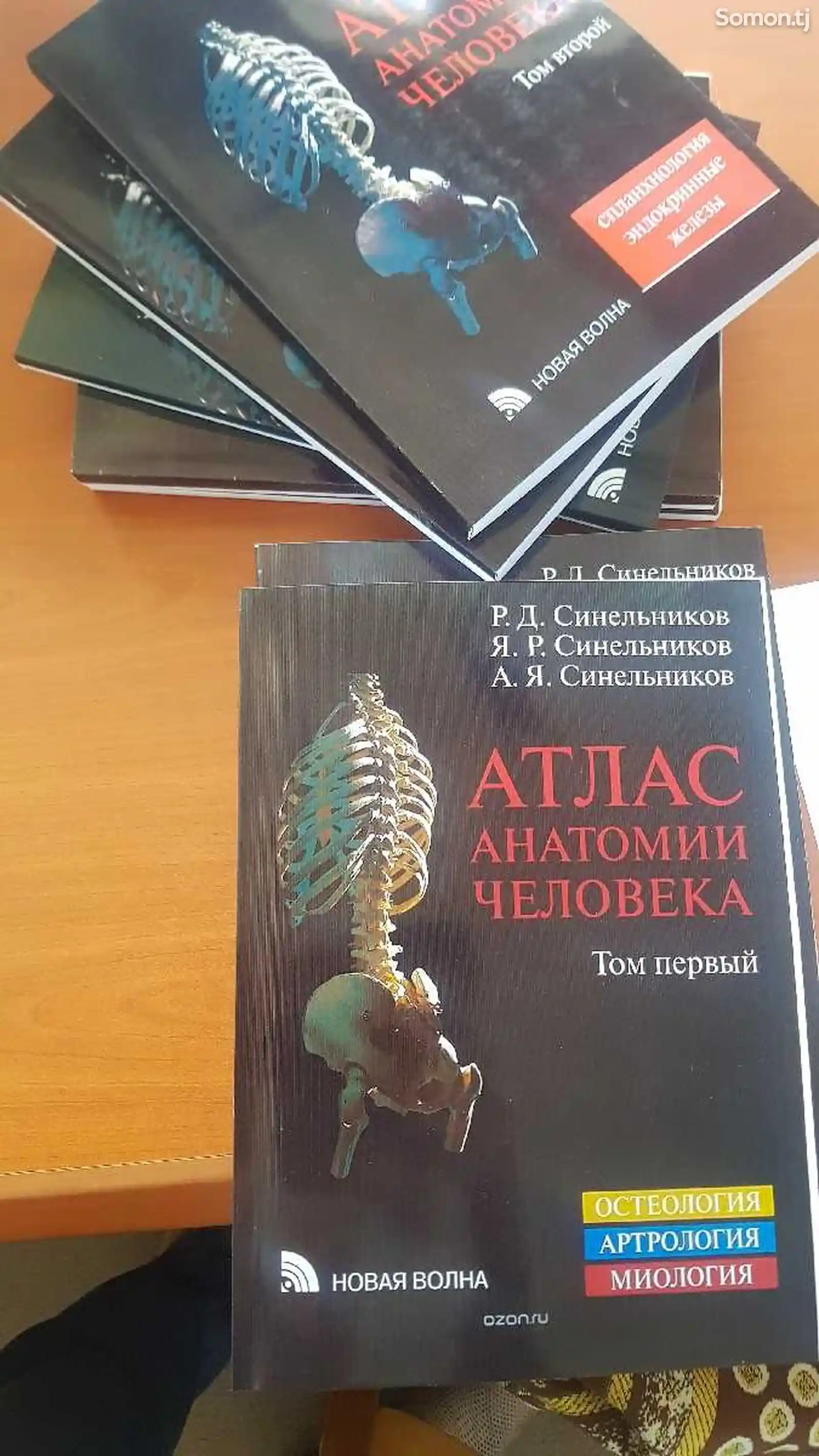 Учебник- Атлас анатомии человека Синельников-1