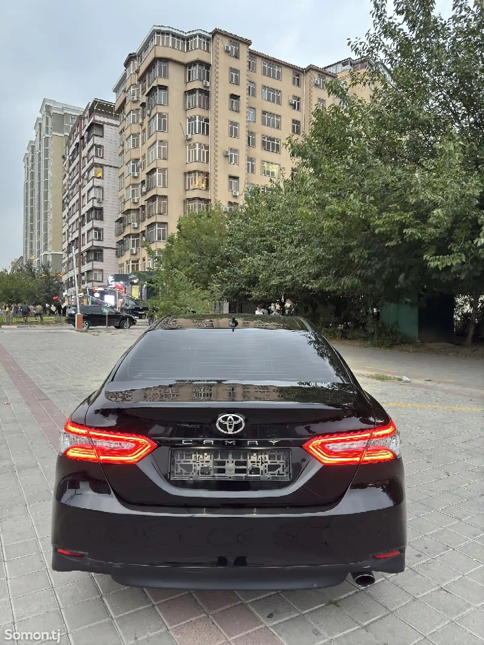 Toyota Camry, 2019-2