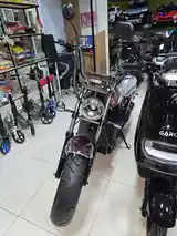 Скутер Harley-Davidson-8