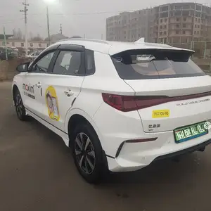 BYD B2, 2024