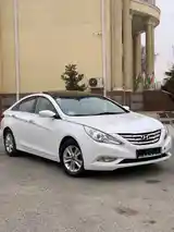 Hyundai Sonata, 2010-3