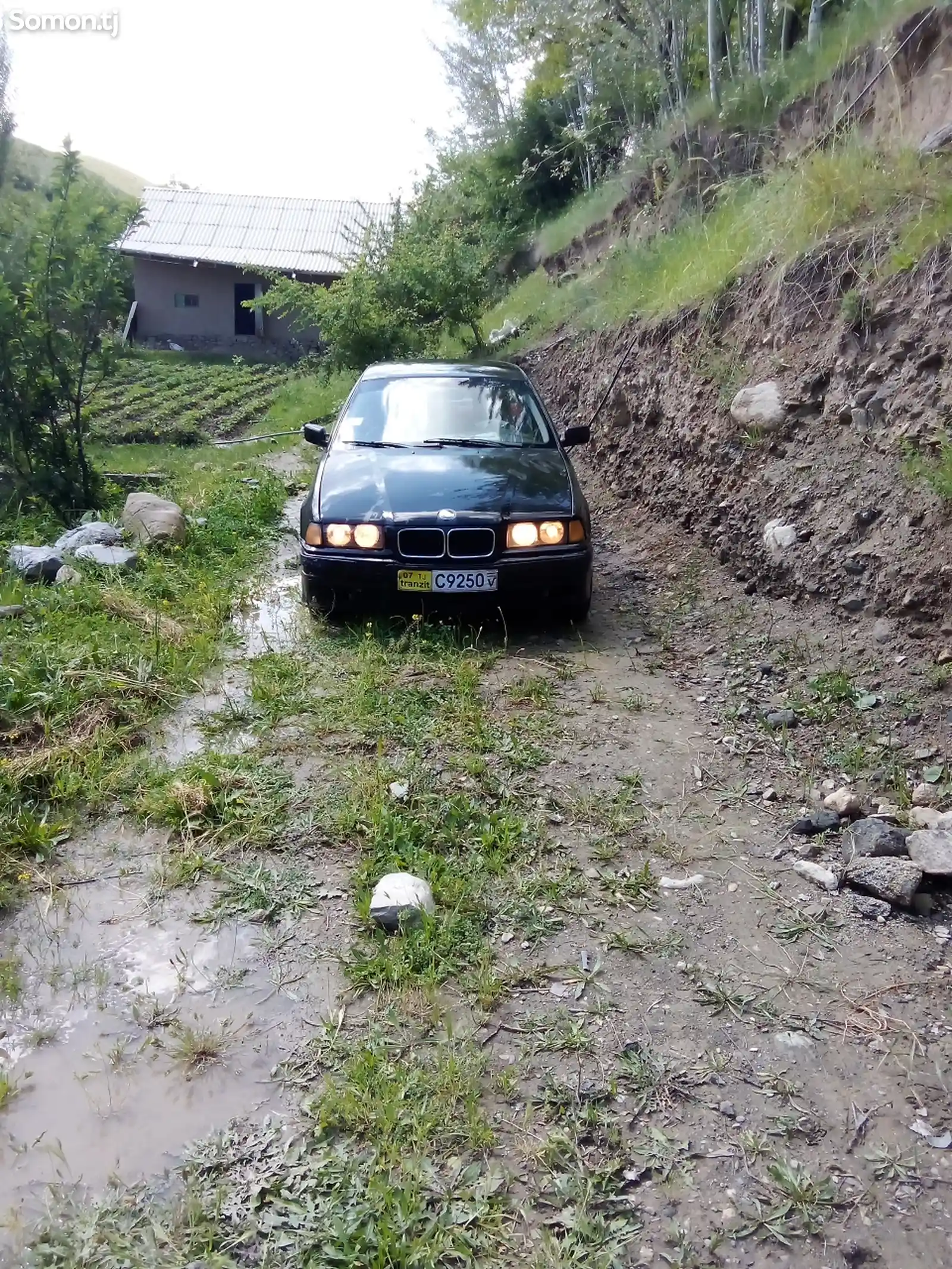 BMW M3, 1992-5