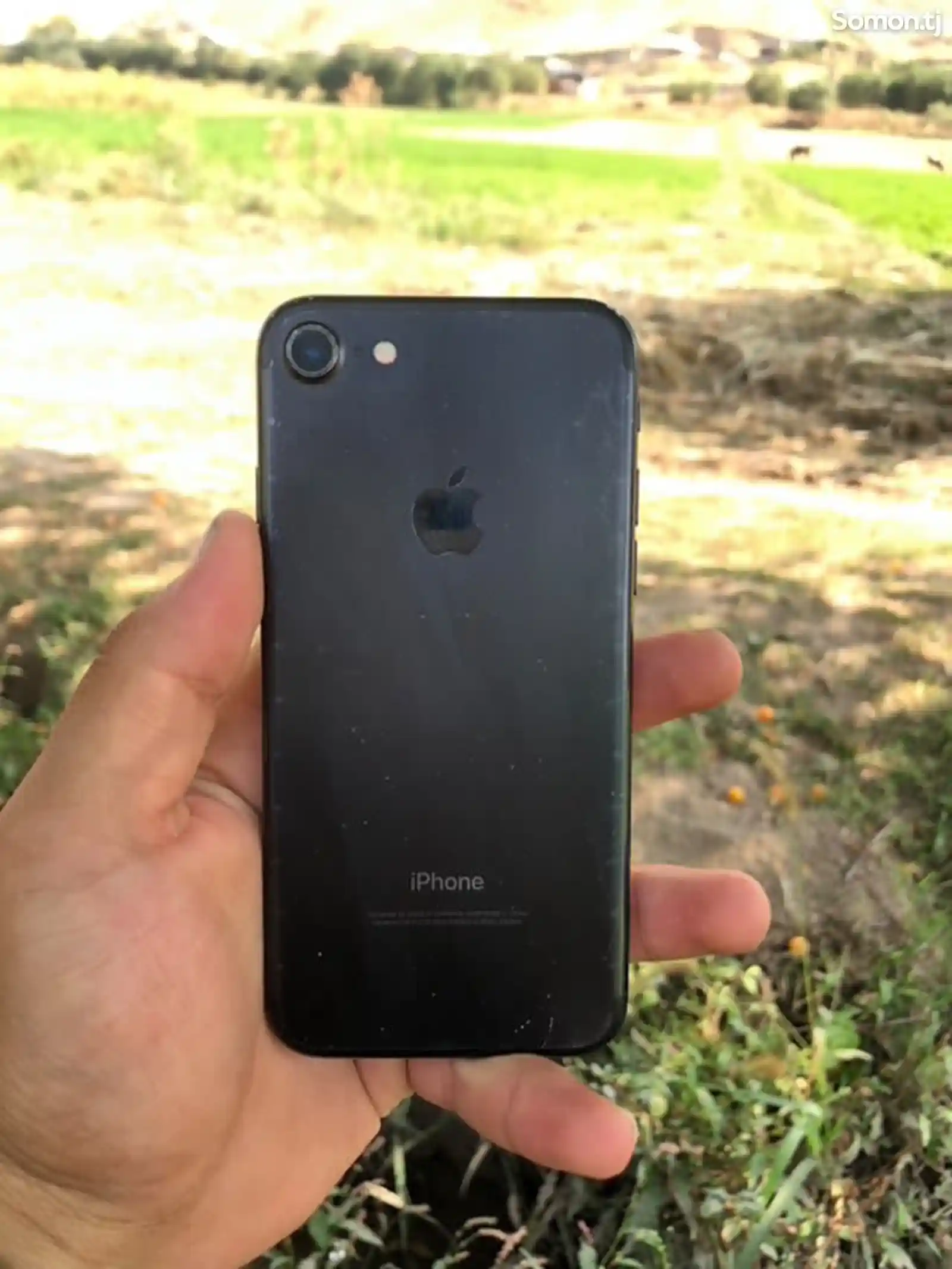 Apple iPhone 7, 32 gb-2