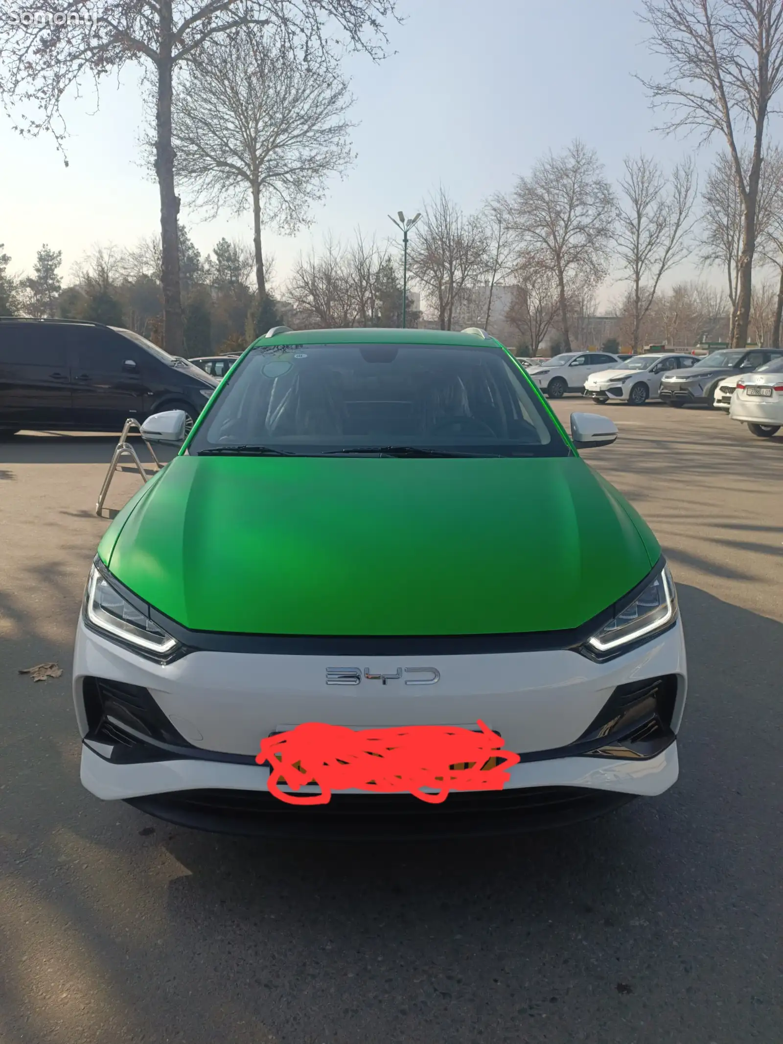 BYD E2, 2024-1