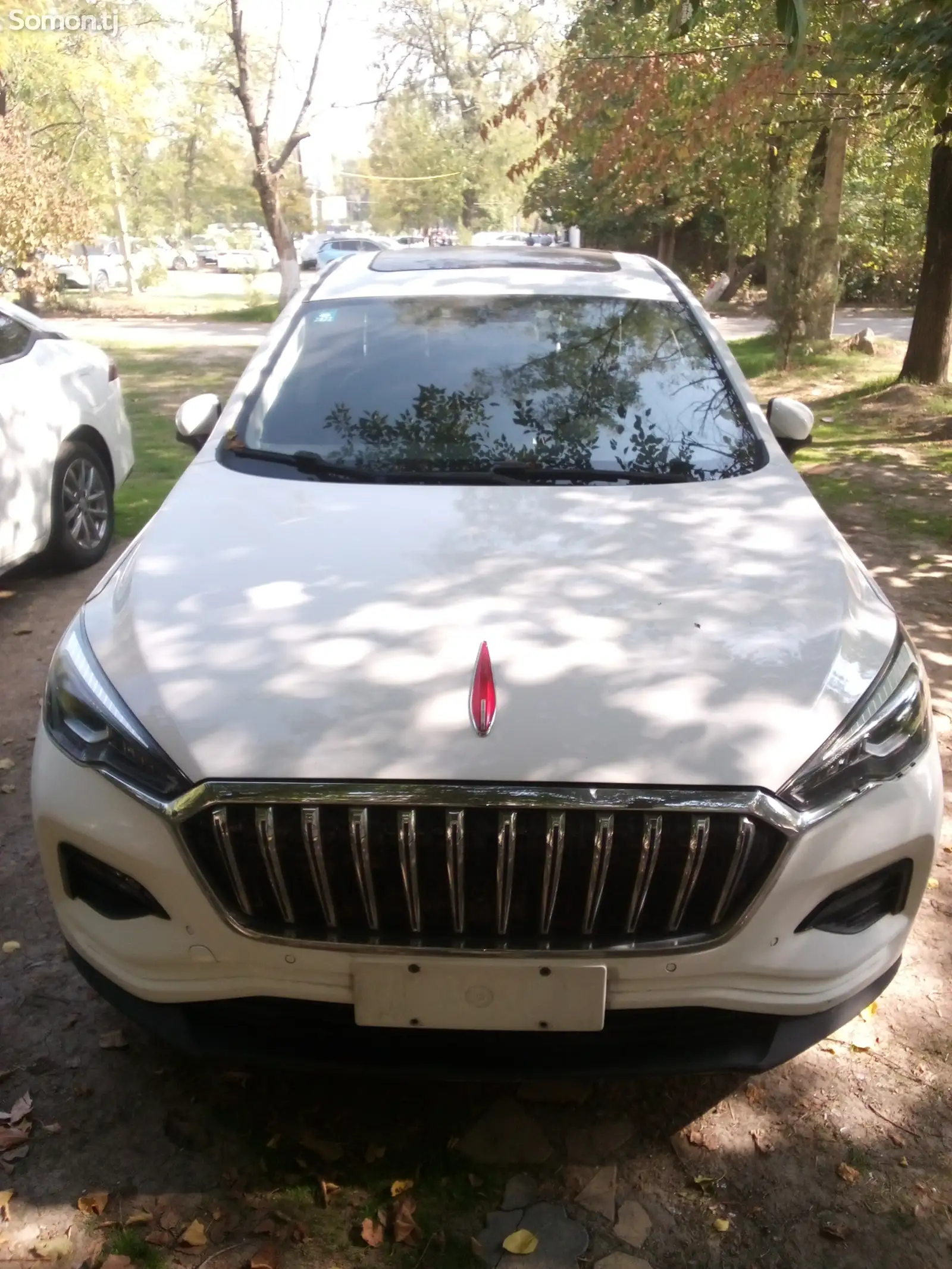 Hongqi E-HS3, 2019-1