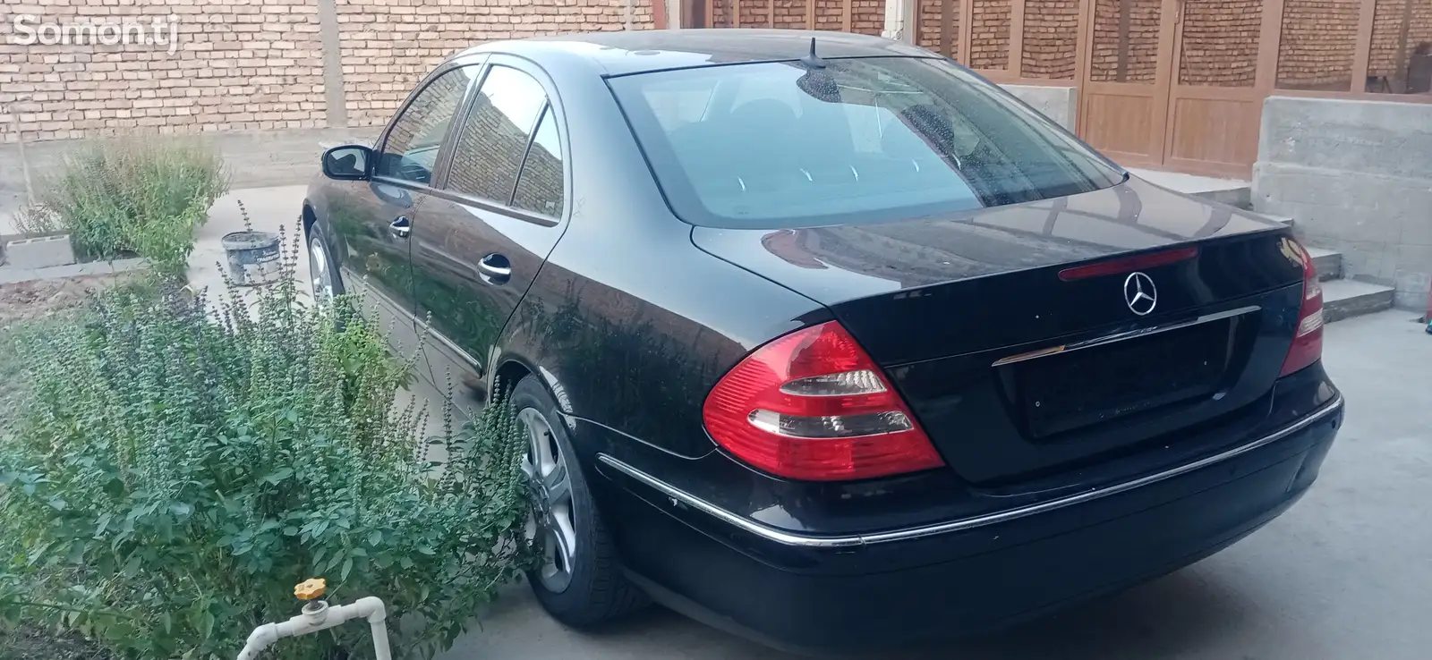 Mercedes-Benz E class, 2006-3