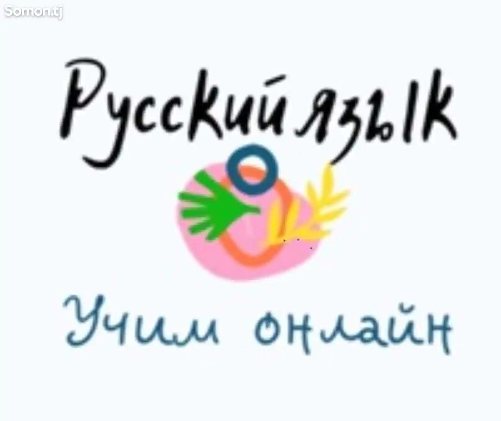 Онлайн-уроки русского языка индивидуально-1