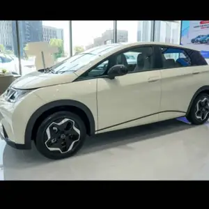 BYD Dolphin, 2024