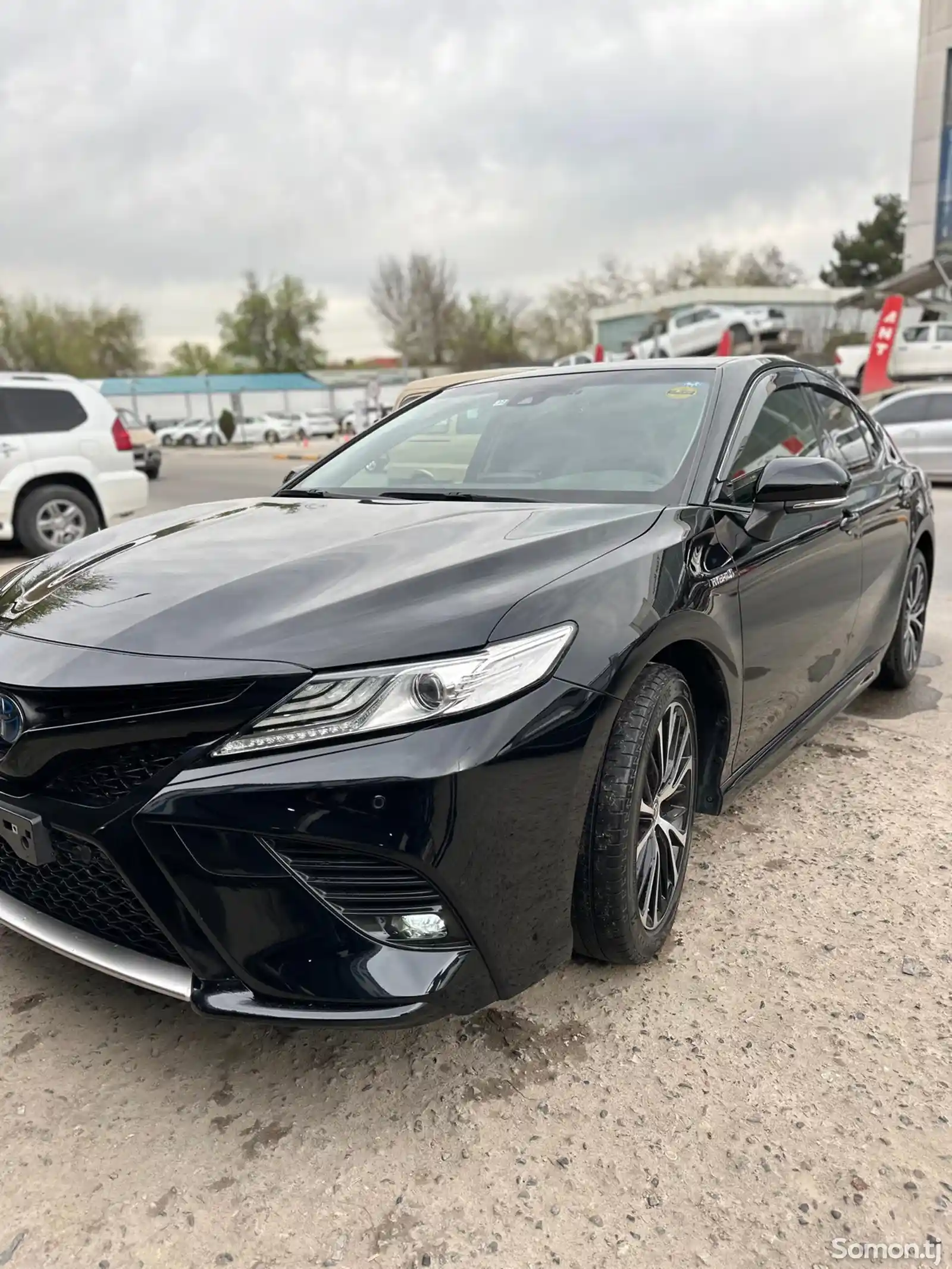 Toyota Camry, 2020-5