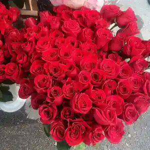 Голландские розы на заказ
