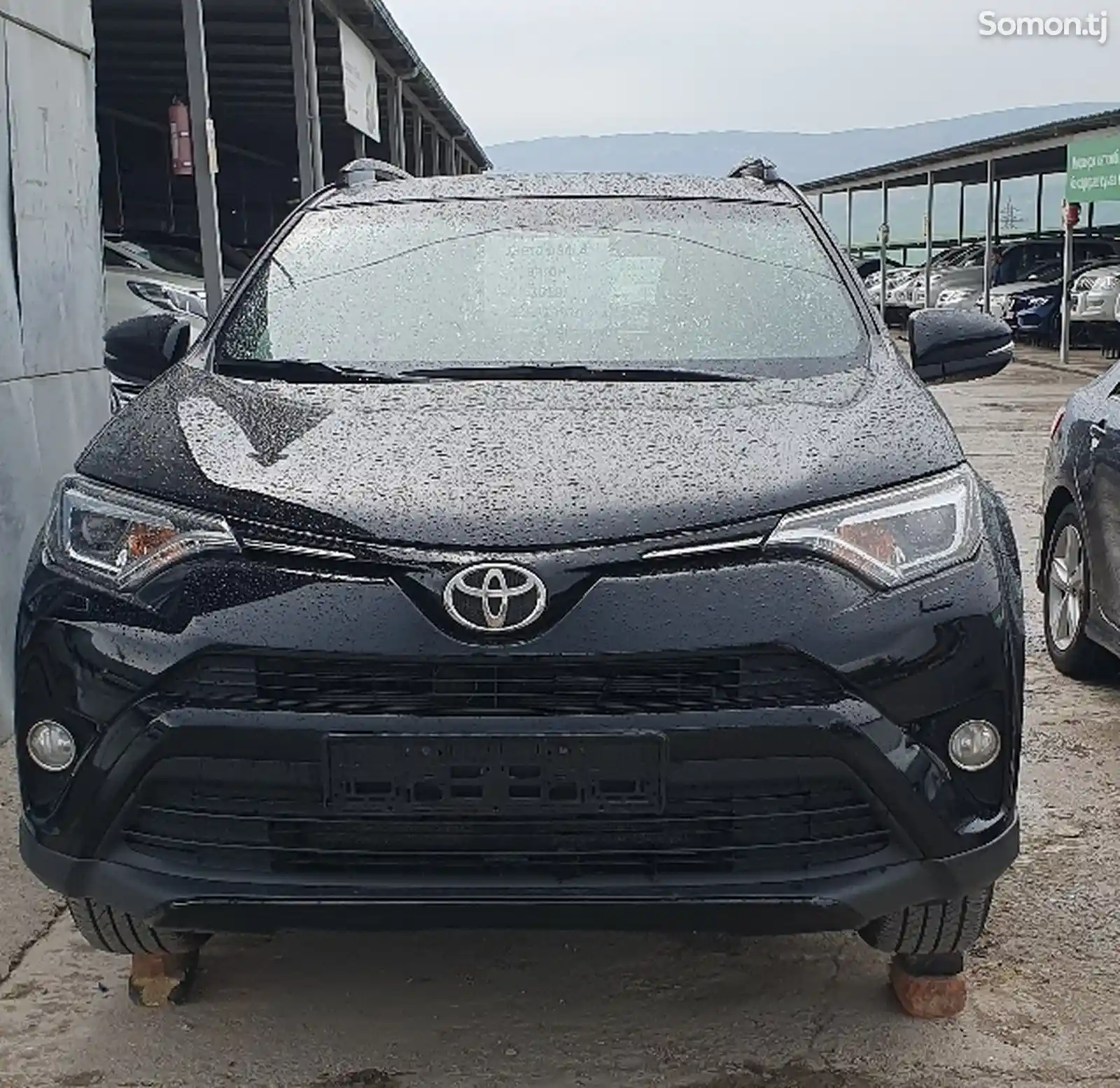 Toyota RAV 4, 2019-1
