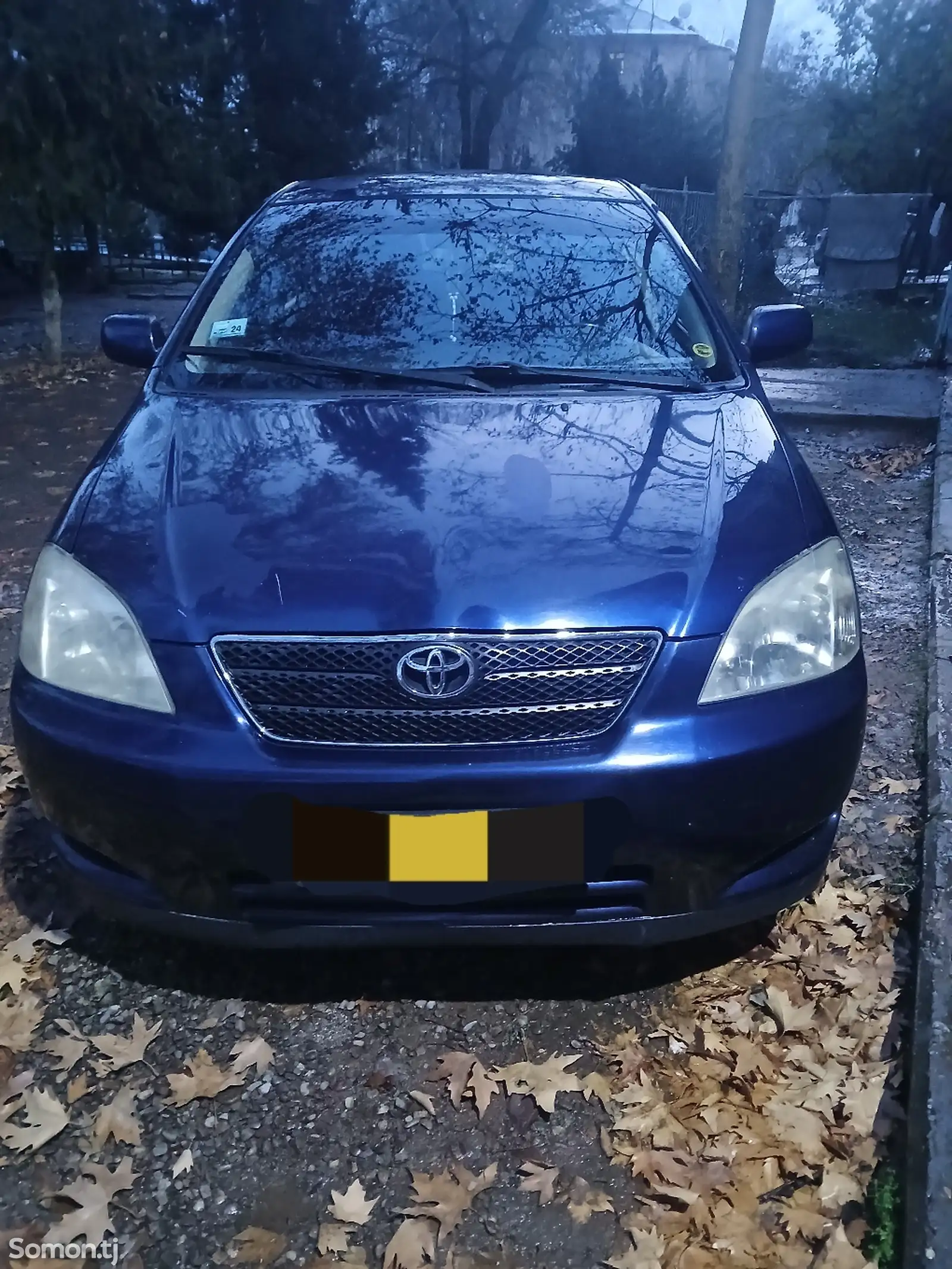 Toyota Corolla, 2004-1